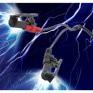 Electro Sex Clamps