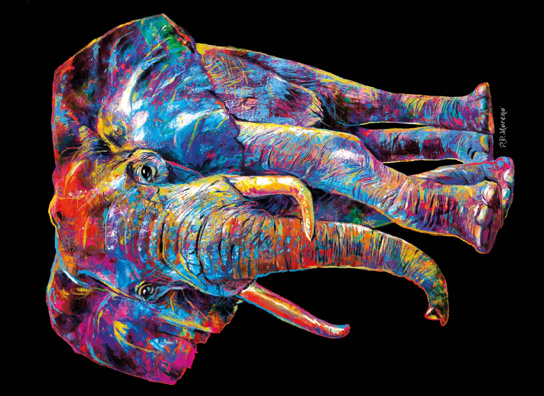 Elephant Pop Colors