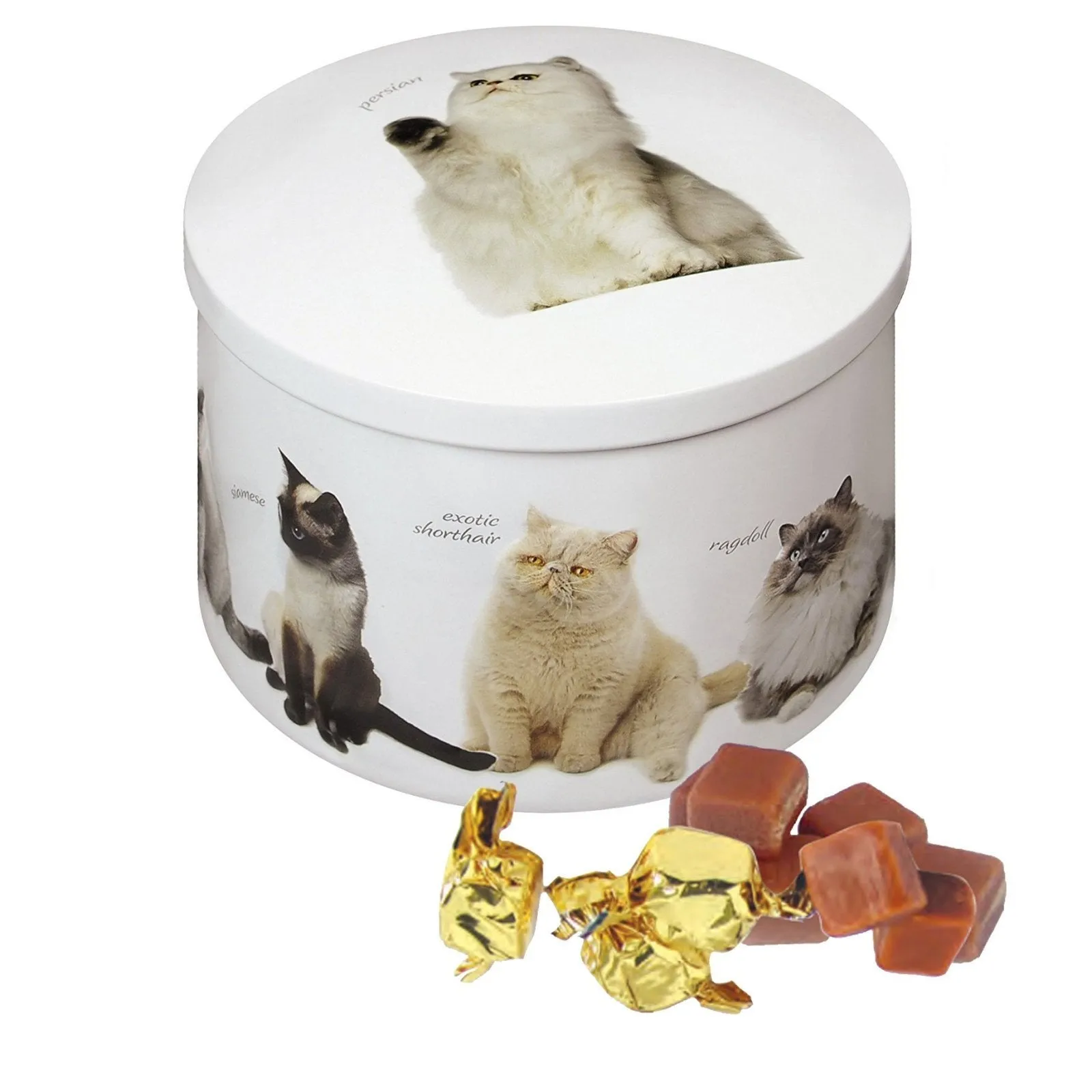 Gardiners of Scotland 200g Cat Tin Filled with Luxury Traditional Fudge