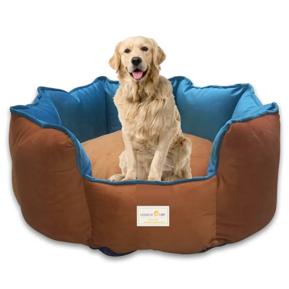 House of Furry Ultra Soft Velvet Luxury Jazz Donut Sofa Bed for Dogs and Cats (Multicolor)