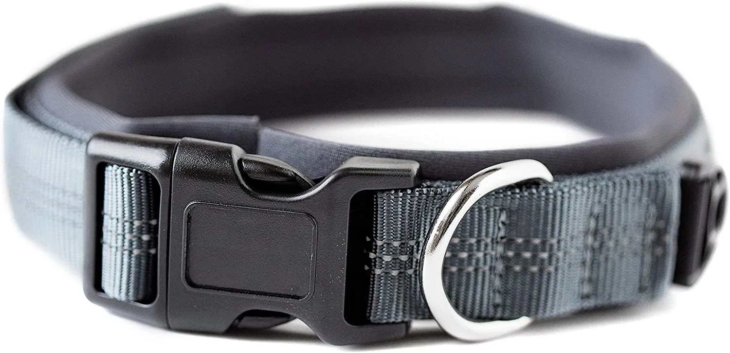 Neoprene Padded Dog Collar - Mighty Paw Sport Collar with Reflective Stitching