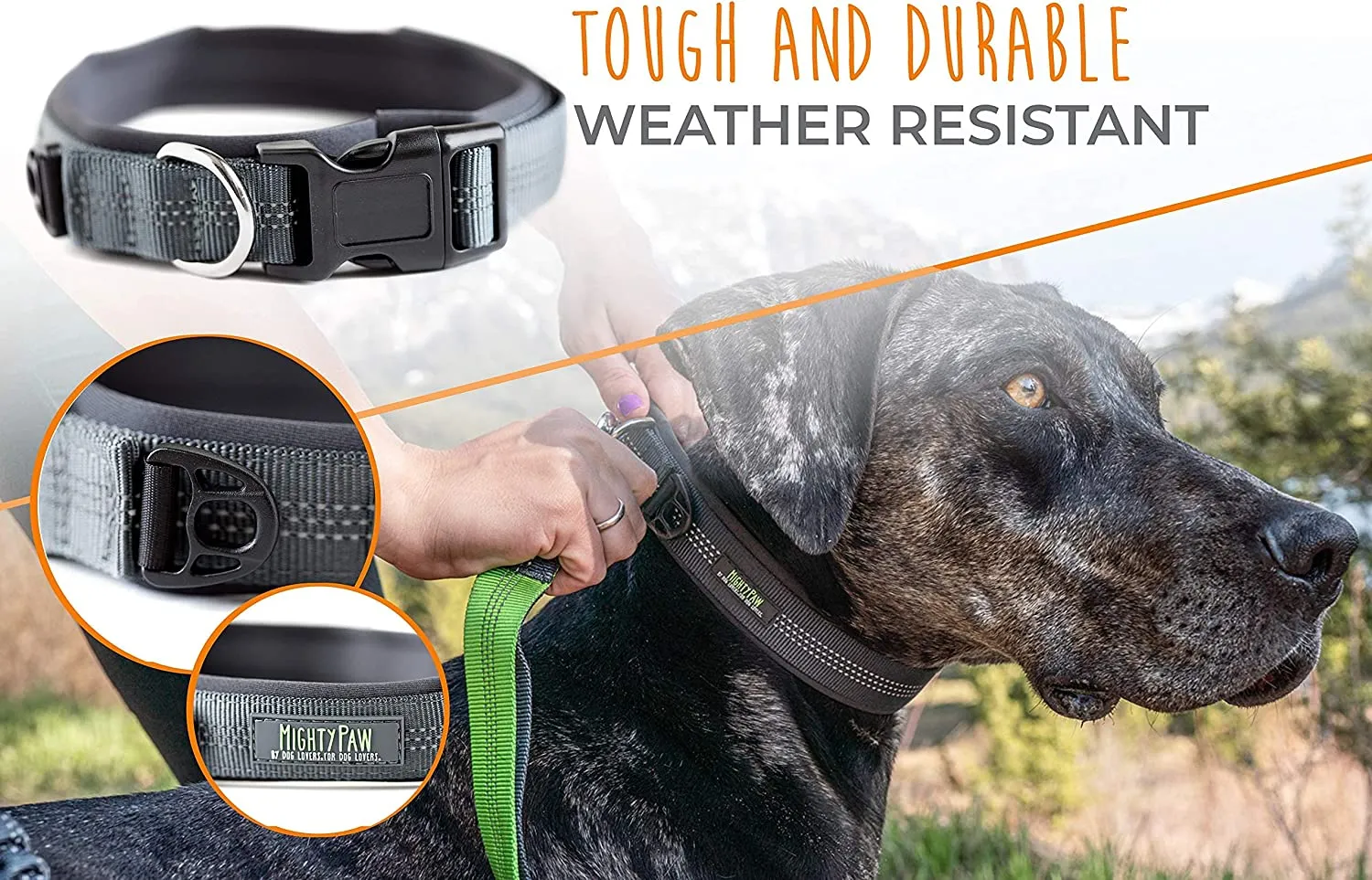 Neoprene Padded Dog Collar - Mighty Paw Sport Collar with Reflective Stitching