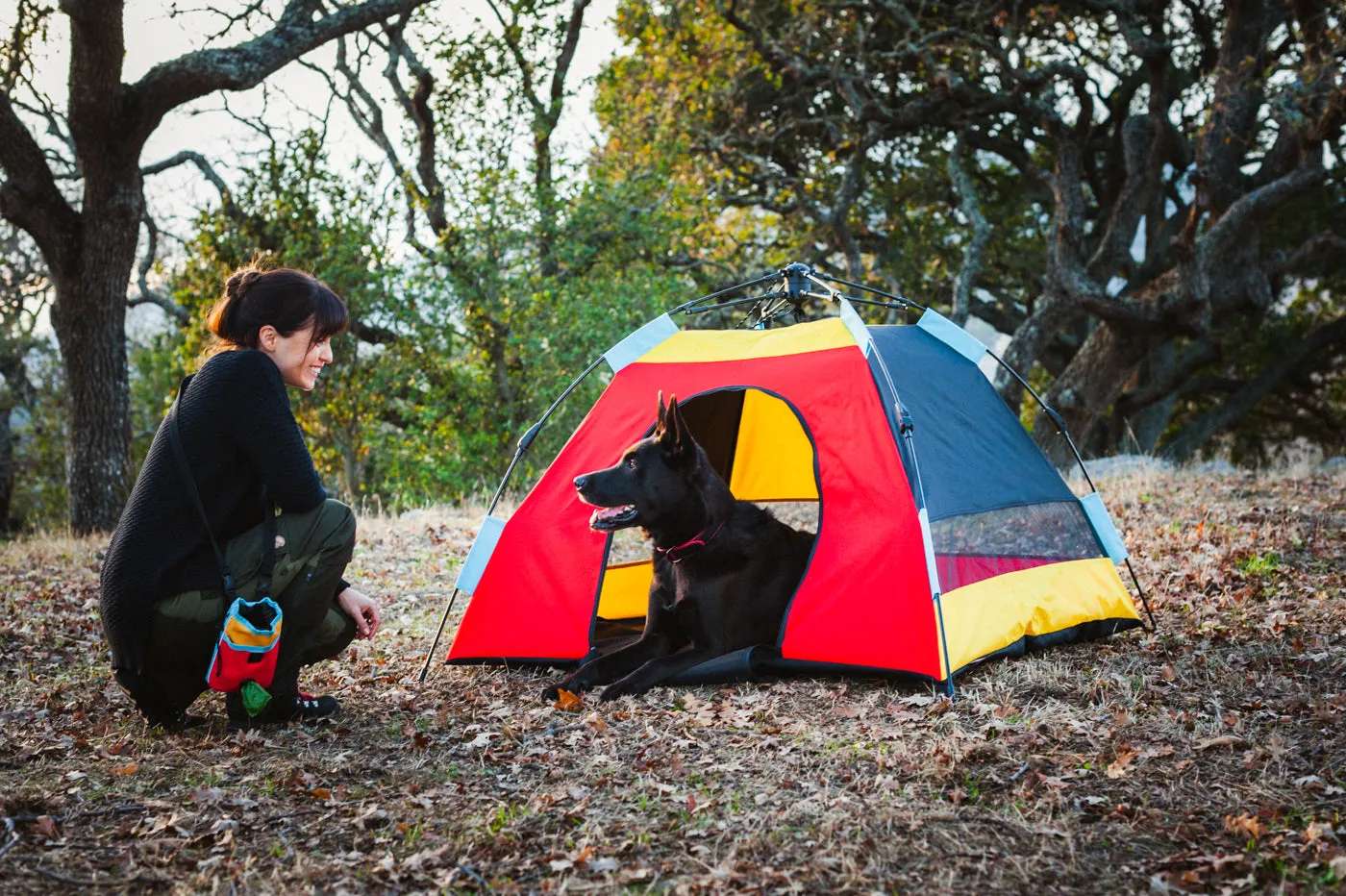 Outdoor Dog Tent