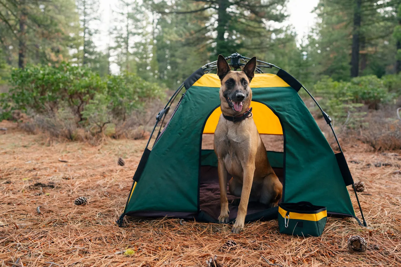 Outdoor Dog Tent