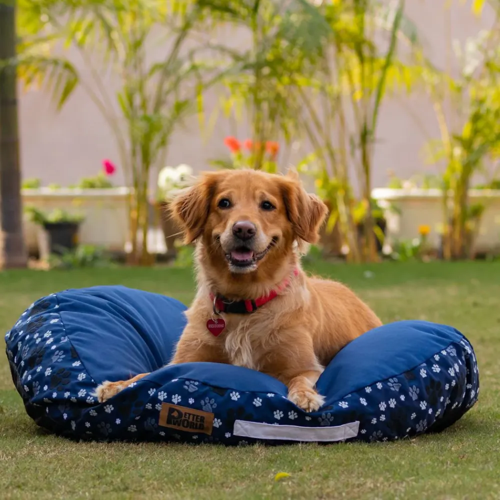 Petter World Indoor Artisanal Round Cushioned Bed with Washable Cover for Dogs and Cats (Ensign Blue)