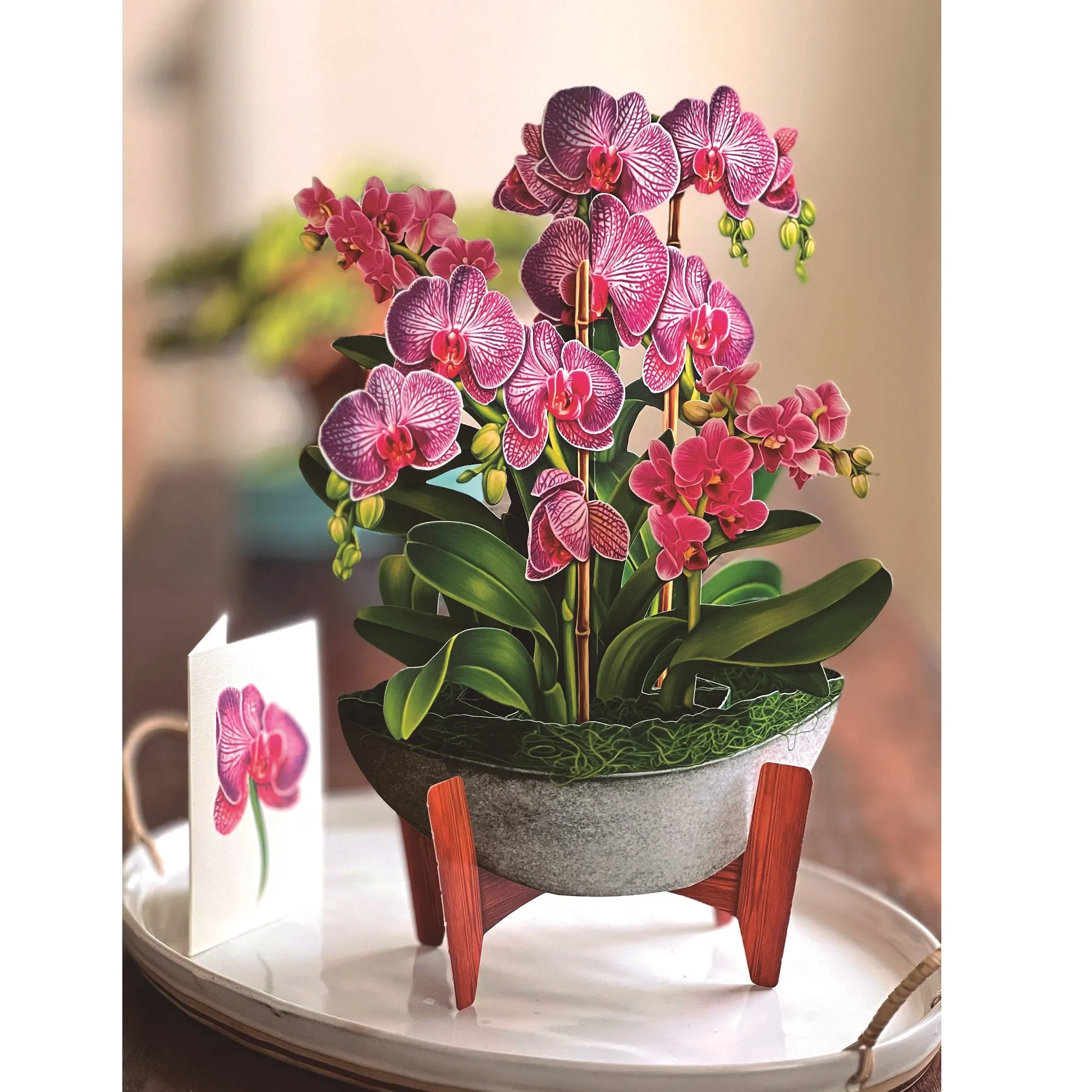 Pop-Up Greeting Card Orchid Oasis